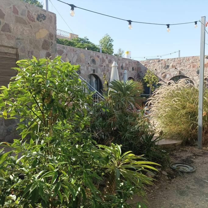 Appartement Eilat Stone Terrace-אילת סטון טראס Extérieur photo