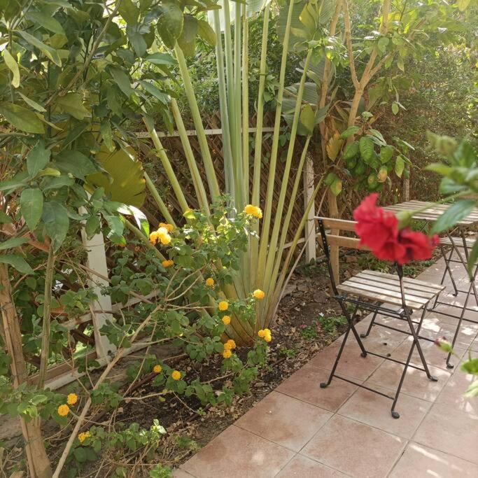 Appartement Eilat Stone Terrace-אילת סטון טראס Extérieur photo